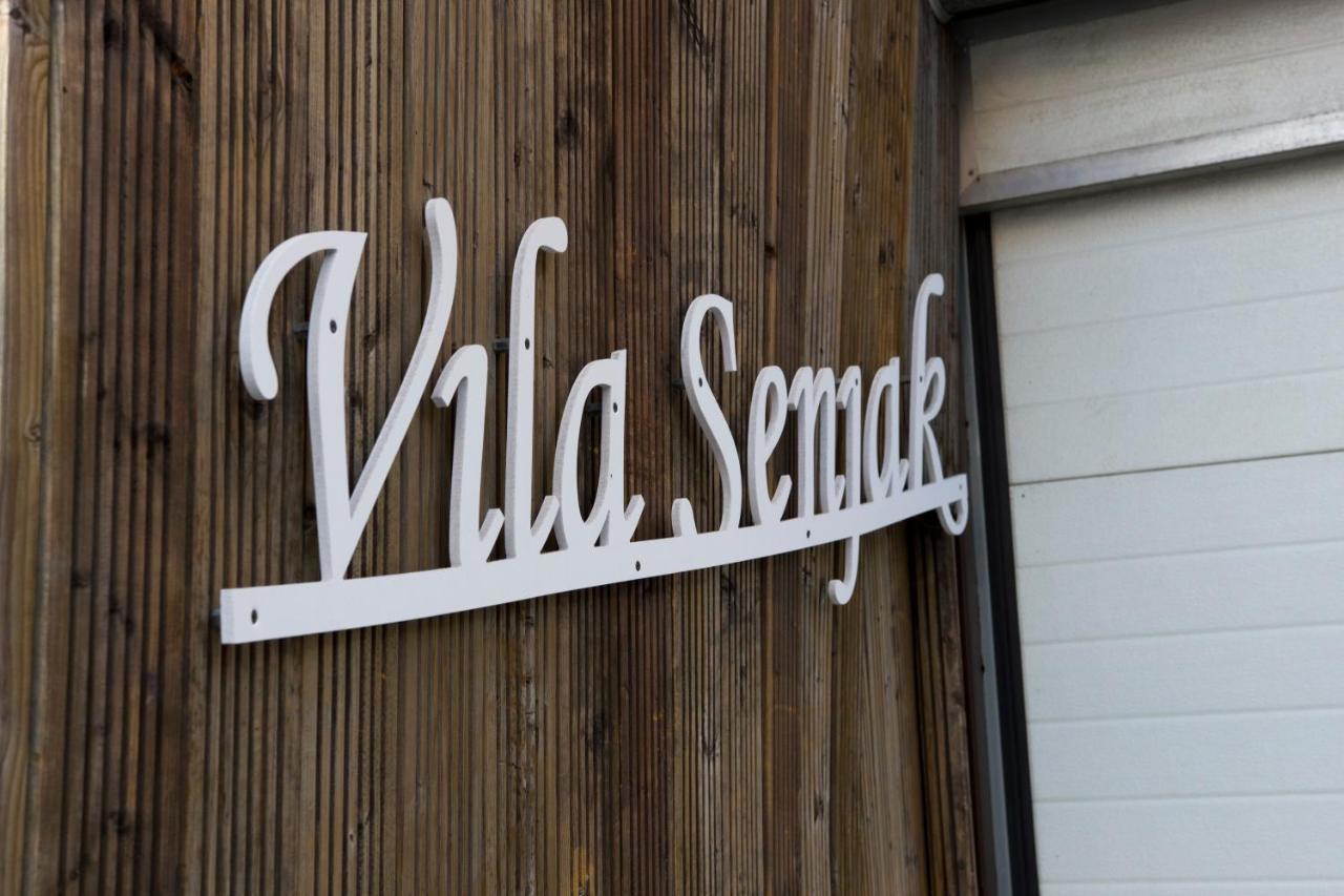 Vila Senjak Belgrad Exteriör bild